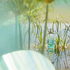 Hermès Un Jardin Sur Le Nil, Eau De Toilette -escentials store escentials 20396 4