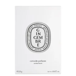 Diptyque Electric Diffuser Gingembre Insert