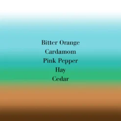 Bigarade Concentree Eau De Parfum -escentials store escentials FMFH47Y010000 3