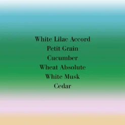 En Passant Eau De Parfum -escentials store escentials FMFSG0006 3