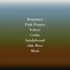 Vetiver Extraodinaire Eau De Parfum -escentials store escentials FMFSG0018 3