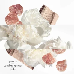 Hermès Twilly Eau Ginger, Eau De Parfum -escentials store escentials HMF103951V0 4