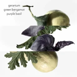 Hermès Eau De Basilic Pourpre, Eau De Cologne -escentials store escentials HMF105081V0 4