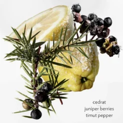 Terre D’Hermès Eau Givrée, Eau De Parfum -escentials store escentials HMF107522V0 7