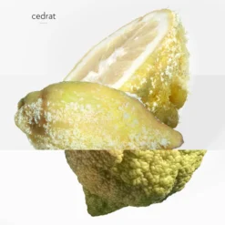 Terre D’Hermès Eau Givrée, Eau De Parfum -escentials store escentials HMF107522V0 8