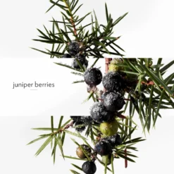 Terre D’Hermès Eau Givrée, Eau De Parfum -escentials store escentials HMF107522V0 9