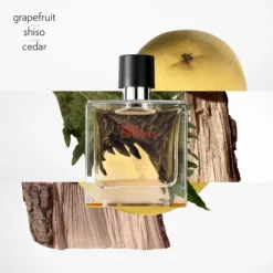 Terre D'Hermès, Parfum -escentials store escentials HMF107758V0 3