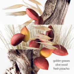 Hermès Un Jardin à Cythère, Body Shower Gel -escentials store escentials HMF109407V0 3