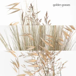 Hermès Un Jardin à Cythère, Body Shower Gel -escentials store escentials HMF109407V0 5