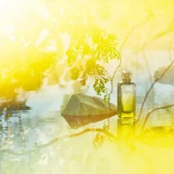 Hermès Le Jardin De Monsieur Li, Eau De Toilette 23 Hermès Le Jardin De Monsieur Li, Eau De Toilette -escentials store escentials HMF32118 4