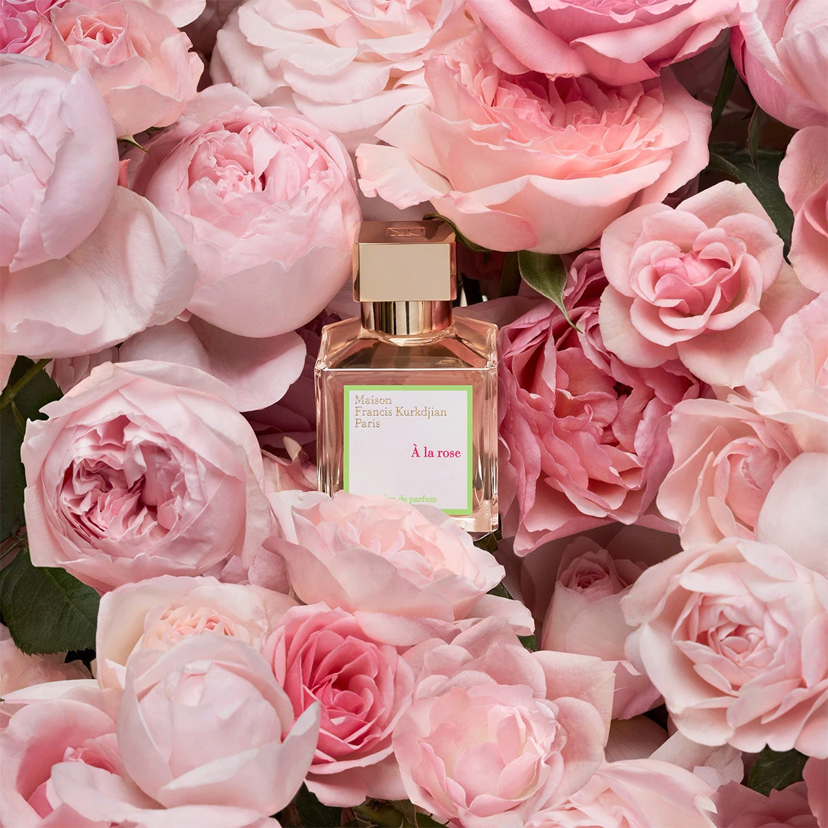 À La Rose Eau De Parfum 4 À La Rose Eau De Parfum - Image 4