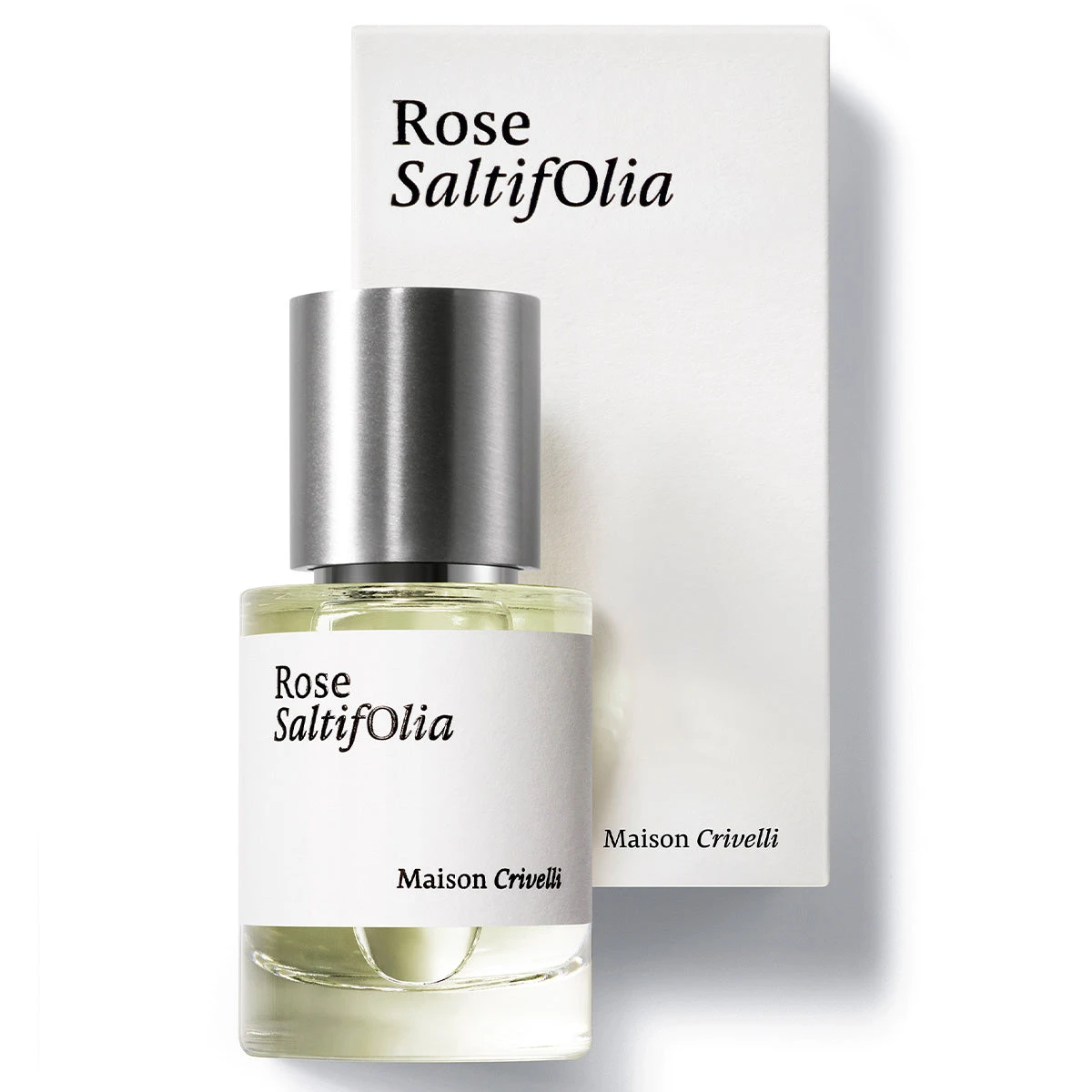 Rose SaltifOlia 5 Rose SaltifOlia - Image 5