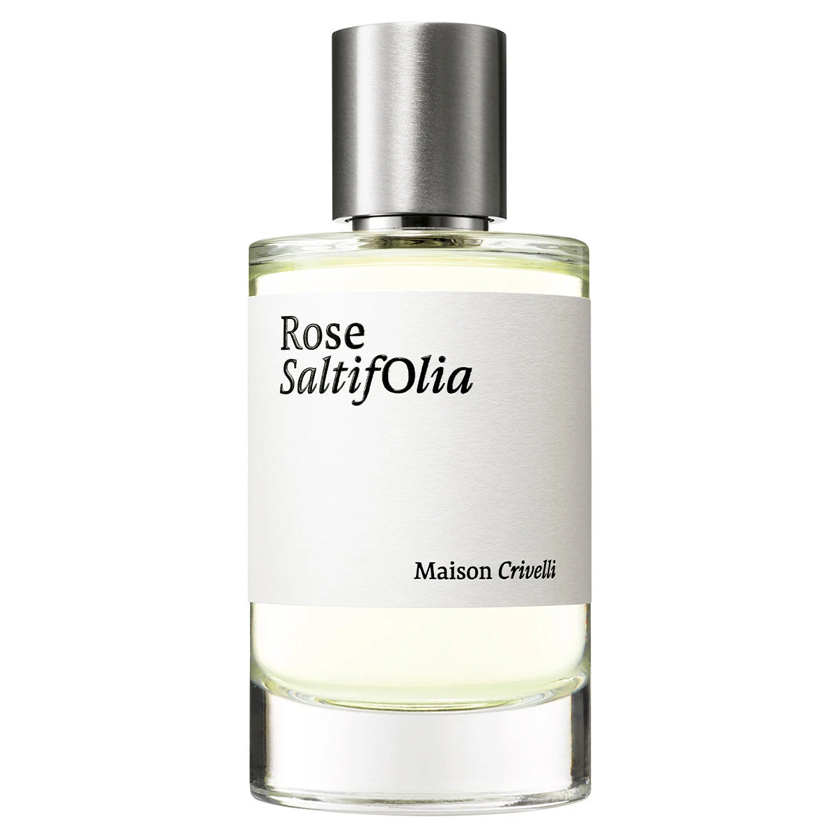 Rose SaltifOlia 1 Rose SaltifOlia