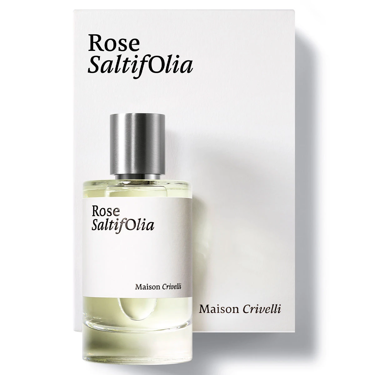 Rose SaltifOlia 2 Rose SaltifOlia - Image 2