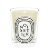 Diptyque Noisetier Scented Candle